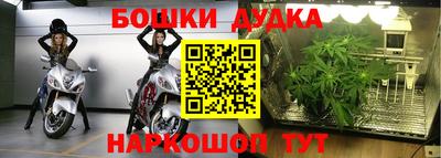 PSILOCYBIN Аргун