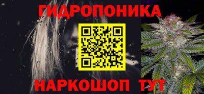 индика Апшеронск