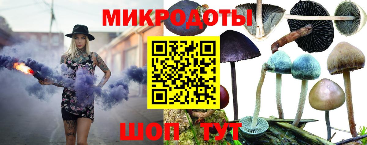Псилоцибиновые грибы прущие грибы Верхний Уфалей