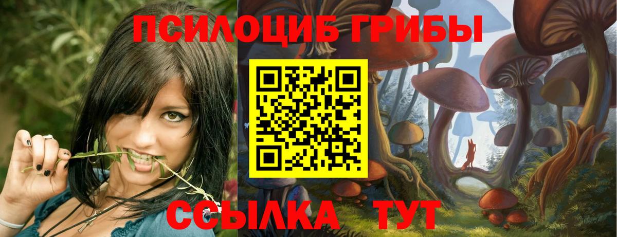 Псилоцибиновые грибы Cubensis  Вход с VPN  Верхний Уфалей  Галлюциногенные грибы ЛСД 